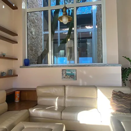 The Tree - View And Terrace *