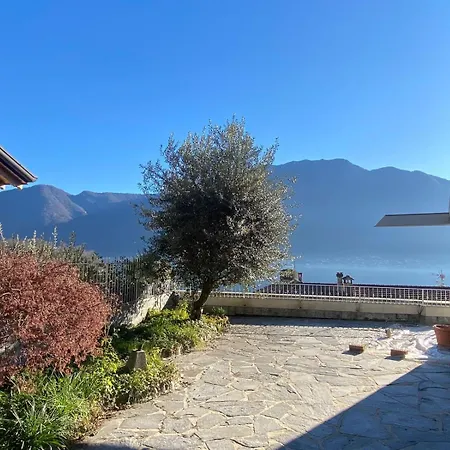 The Tree - View And Terrace *