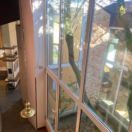 The Tree - View And Terrace *