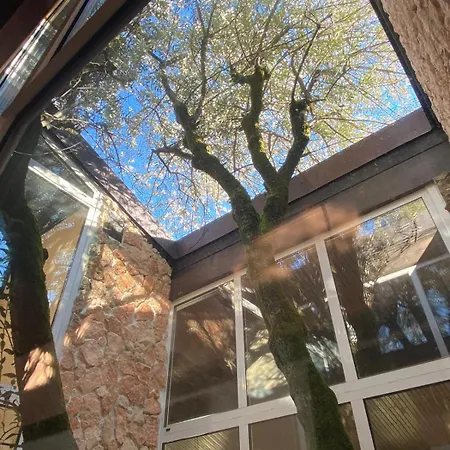The Tree - View And Terrace * 萨拉科玛希娜